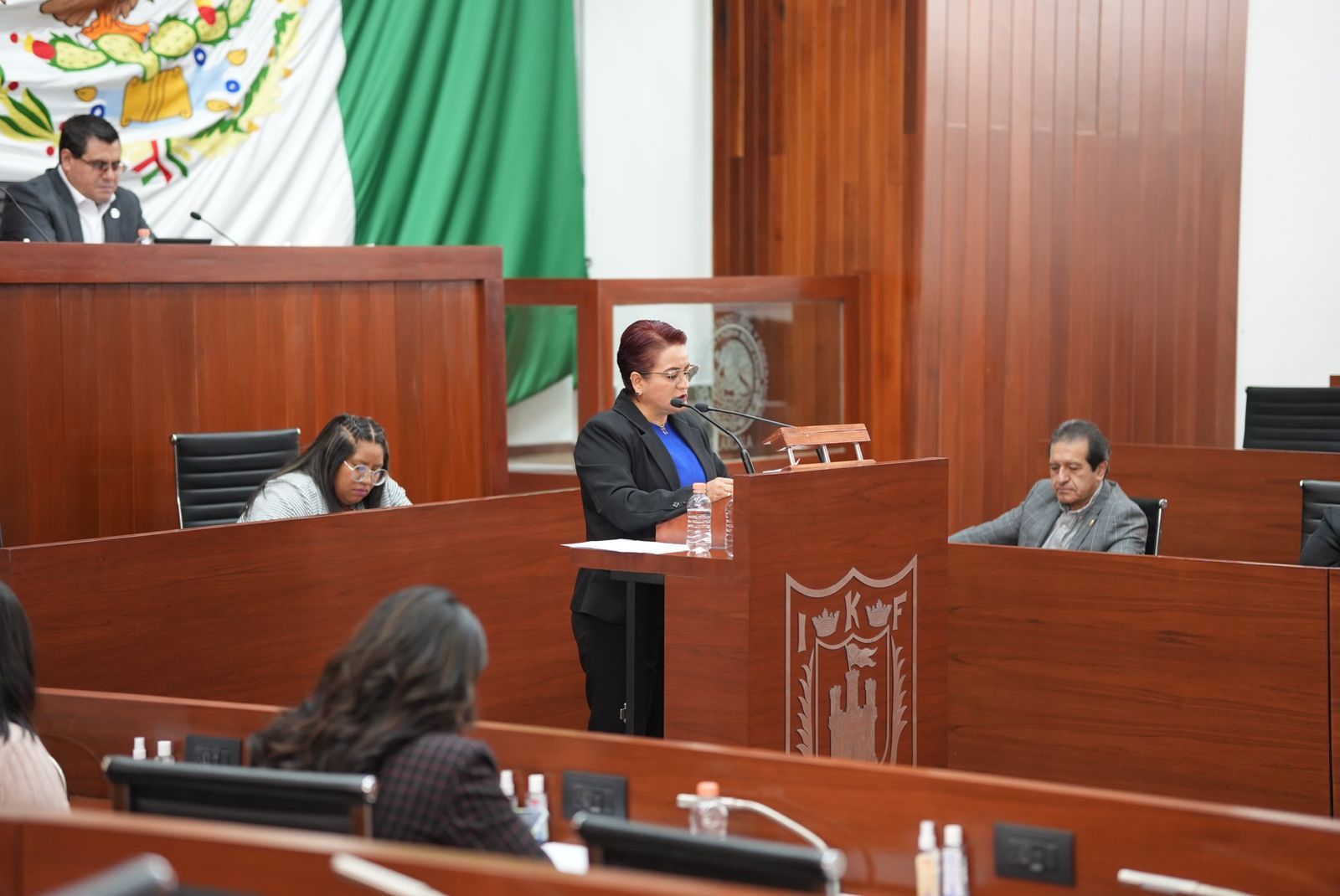 Propone diputada Guillermina Loaiza atender forma más extrema de violencia contra las mujeres: El feminicidio